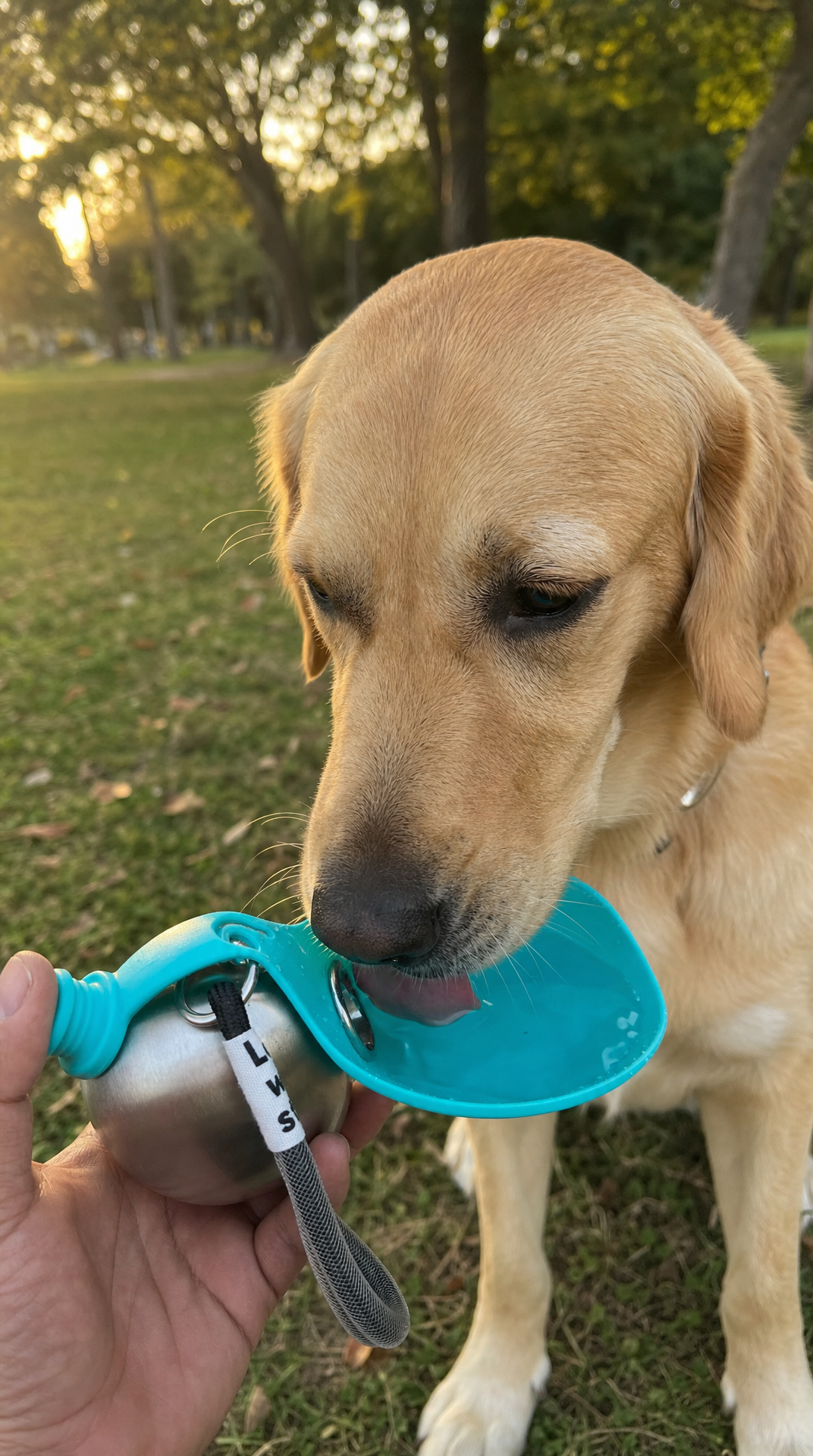 botella para perros
